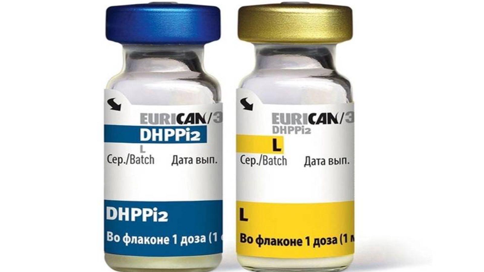 Вакцина эурикан dhppi2. Эурикан LR И dhppi2. Эурикан DHPPI. Эурикан dhppi2 вакцина для собак. Вакцина Эурикан DHPPI+RL.